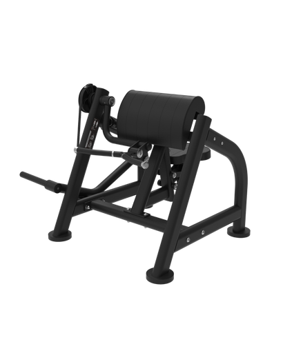 BICEP TRAINER V1