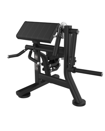 BICEPS & TRICEPS EXTENSION