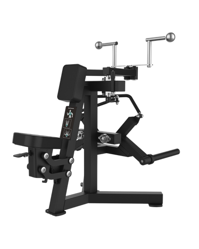 BENT-OVER DUMBBELL RAISE 
