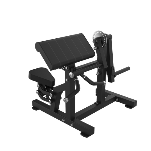 BICEPS & TRICEPS EXTENSION